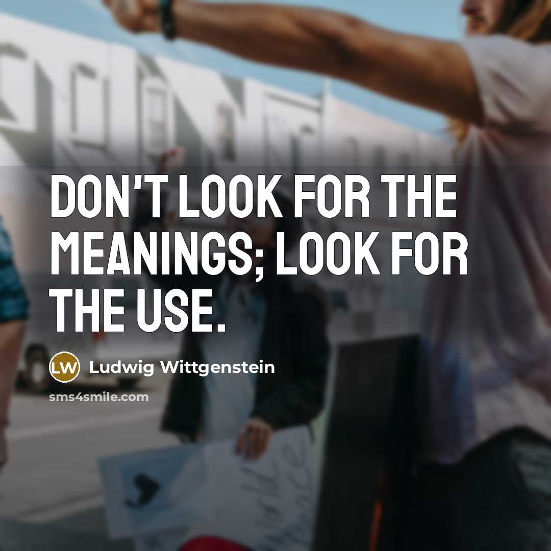 “Don't look for the meanings; look for the use.…” quote by Ludwig Wittgenstein