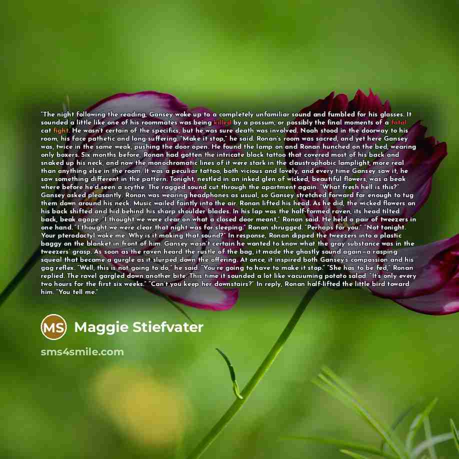 “The night following the reading, Gansey woke up to a completely unfamiliar sound and fumbled for his glasses. It sounded a little like one of his roommates was being killed by a possum, or possibly the final moments of a fatal cat fight. He wasn’t certain of the specifics, but he was sure death…” quote by Maggie Stiefvater