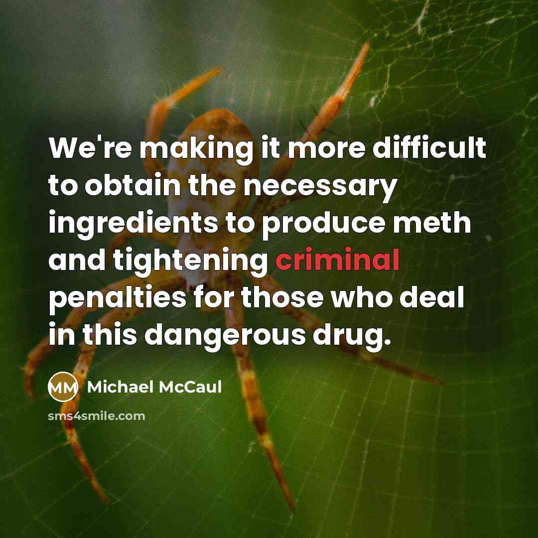 “We're making it more difficult to obtain the necessary ingredients…” quote by Michael McCaul