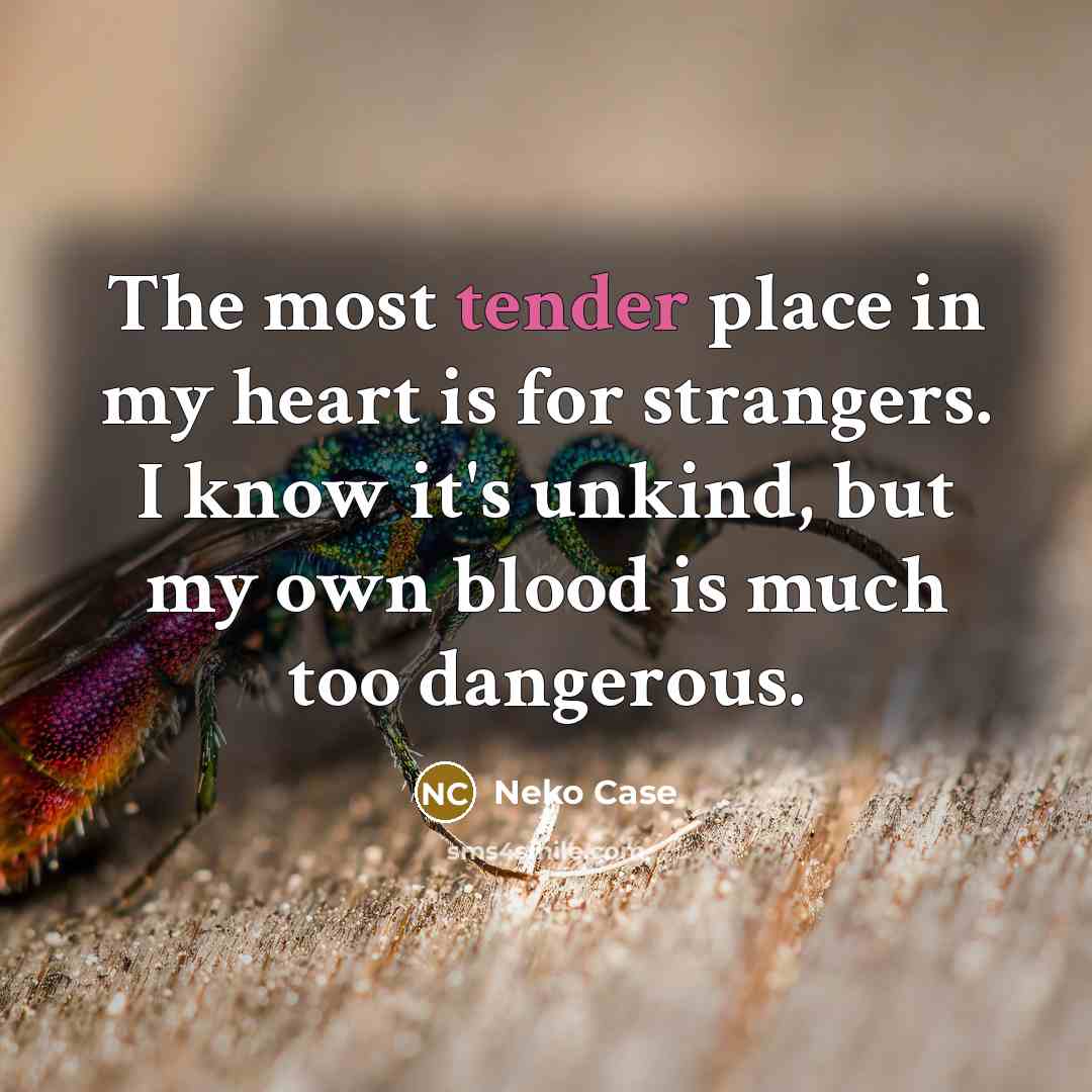 “The most tender place in my heart is for strangers.…” quote by Neko Case