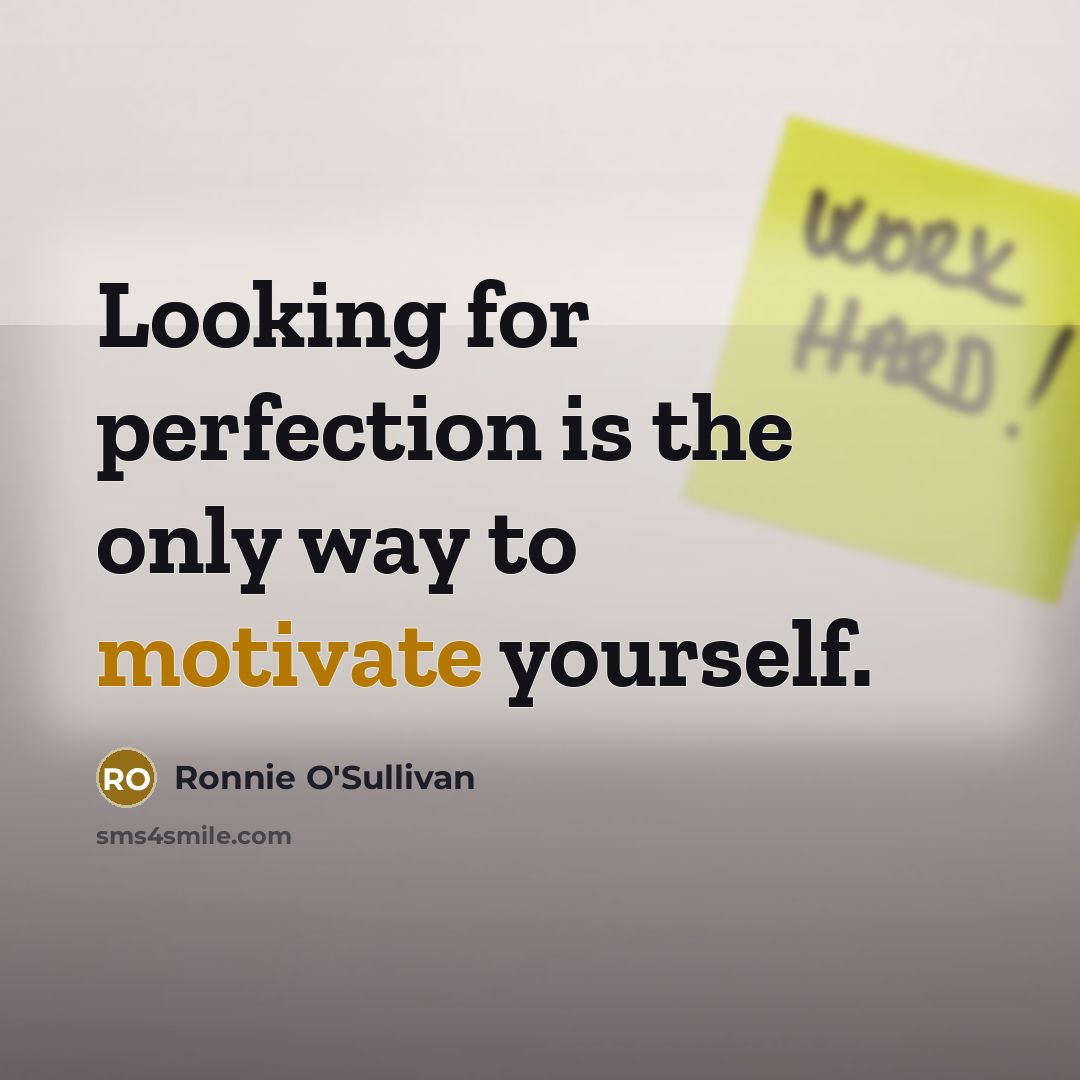 “Looking for perfection is the only way to motivate yourself.…” quote by Ronnie O'Sullivan