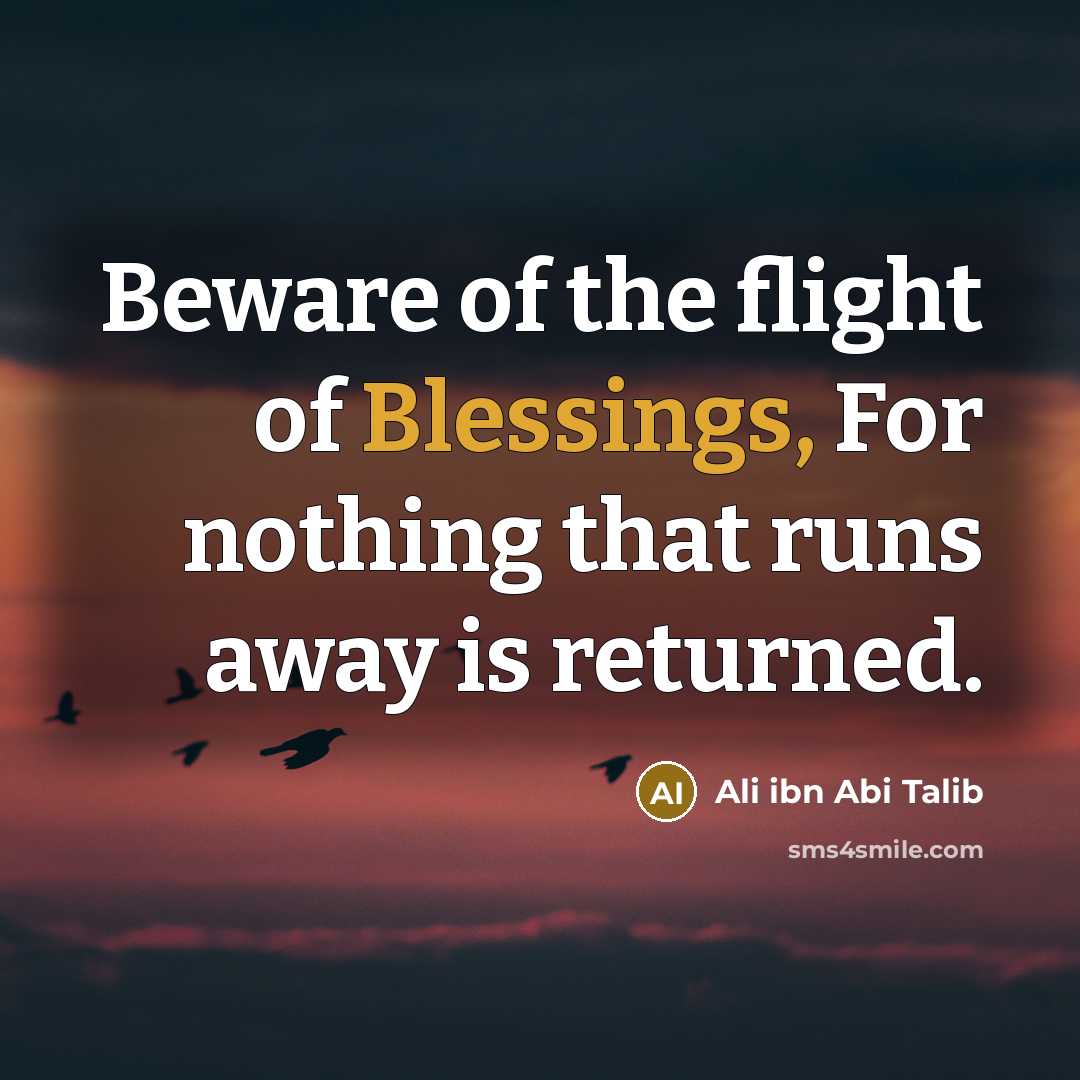 “Beware of the flight of Blessings, For nothing that runs…” quote by Ali ibn Abi Talib