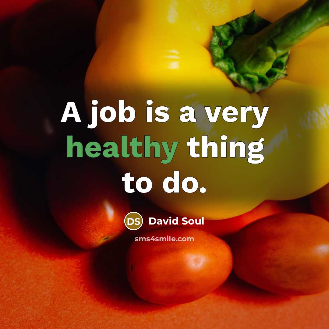 “A job is a very healthy thing to do.…” quote by David Soul