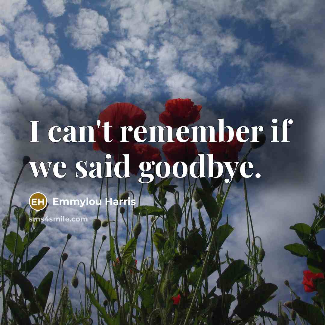 “I can't remember if we said goodbye.…” quote by Emmylou Harris