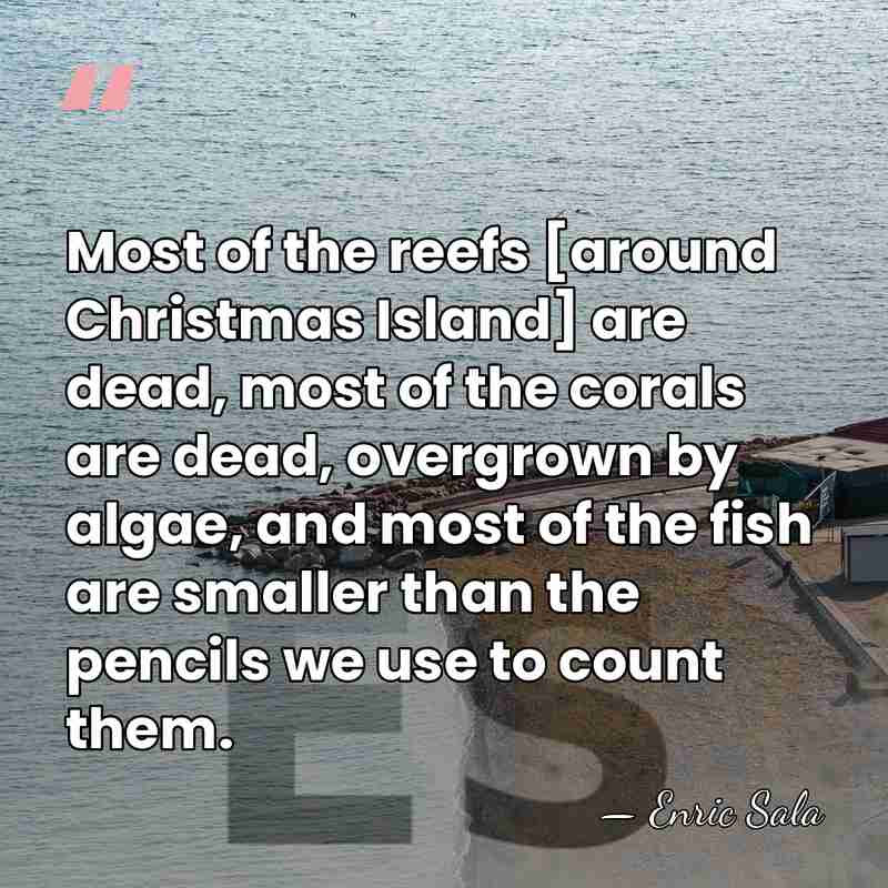 Most of the reefs [around Christmas Island] are dead, most of the&hellip; - Enric Sala