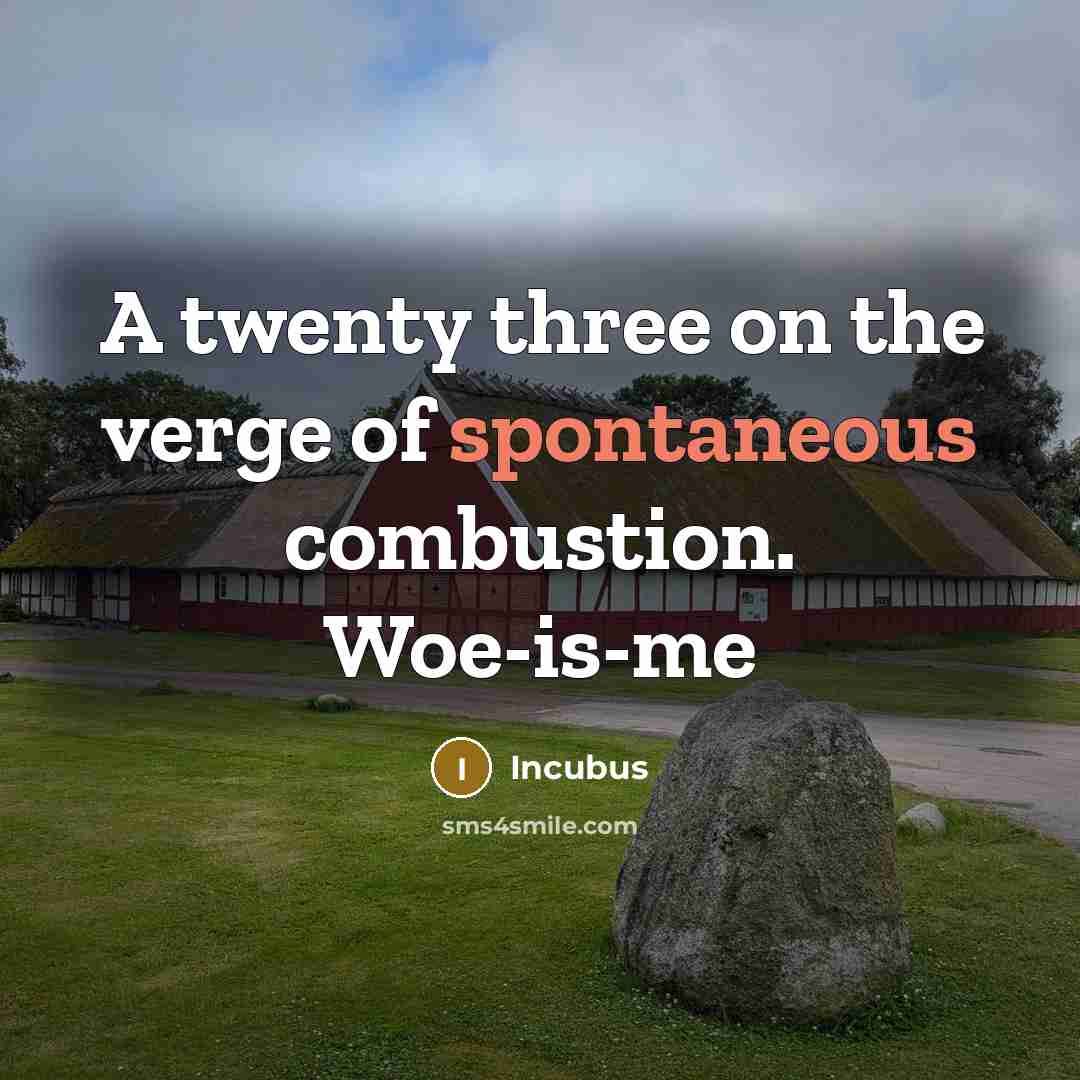 “A twenty three on the verge of spontaneous combustion. Woe-is-me…” quote by Incubus