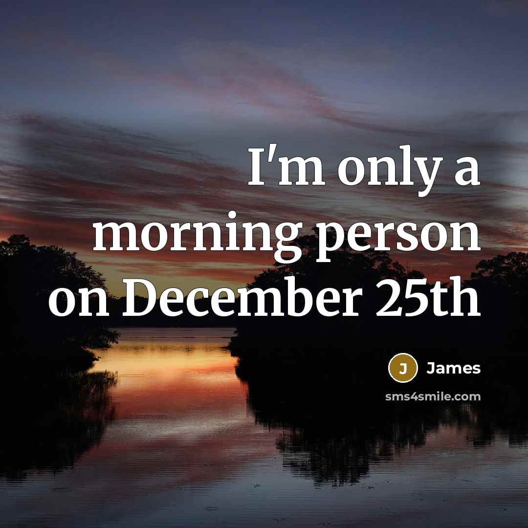 “I'm only a morning person on December 25th…” quote by James