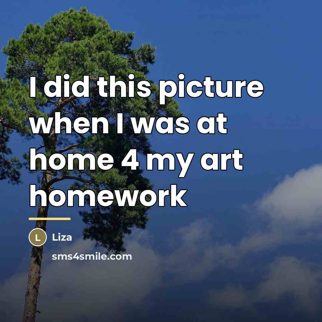 “I did this picture when I was at home 4…” quote by Liza