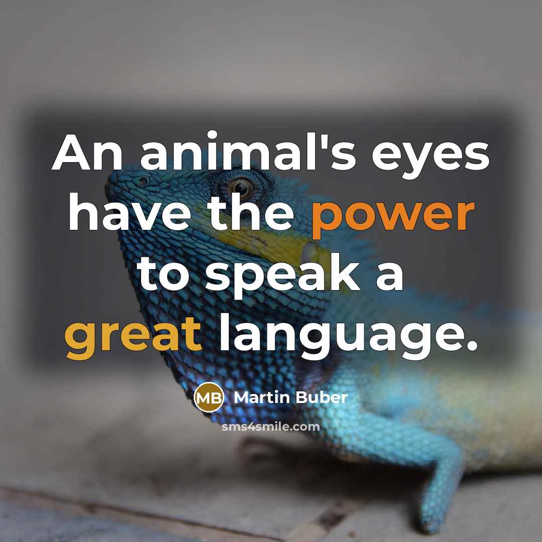 “An animal's eyes have the power to speak a great…” quote by Martin Buber