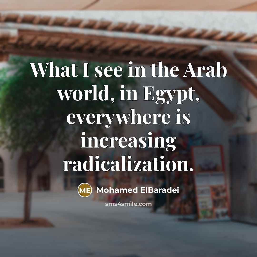 “What I see in the Arab world, in Egypt, everywhere…” quote by Mohamed ElBaradei