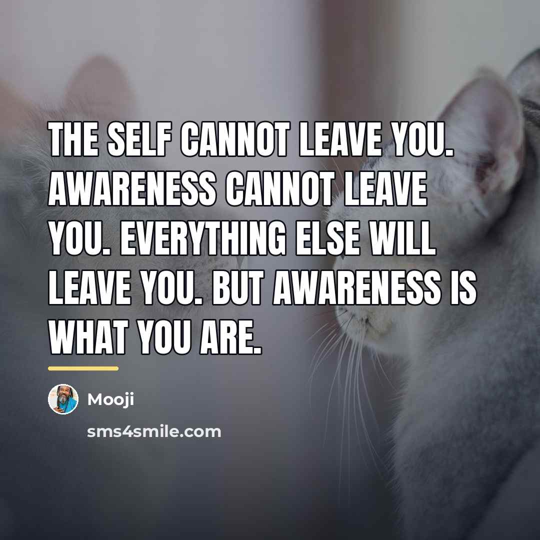 “The Self cannot leave You. Awareness cannot leave You. Everything…” quote by Mooji