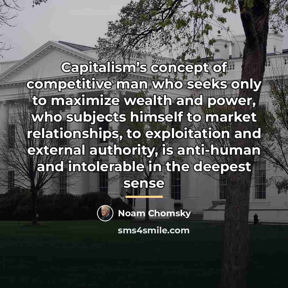 “Capitalism’s concept of competitive man who seeks only to maximize…” quote by Noam Chomsky