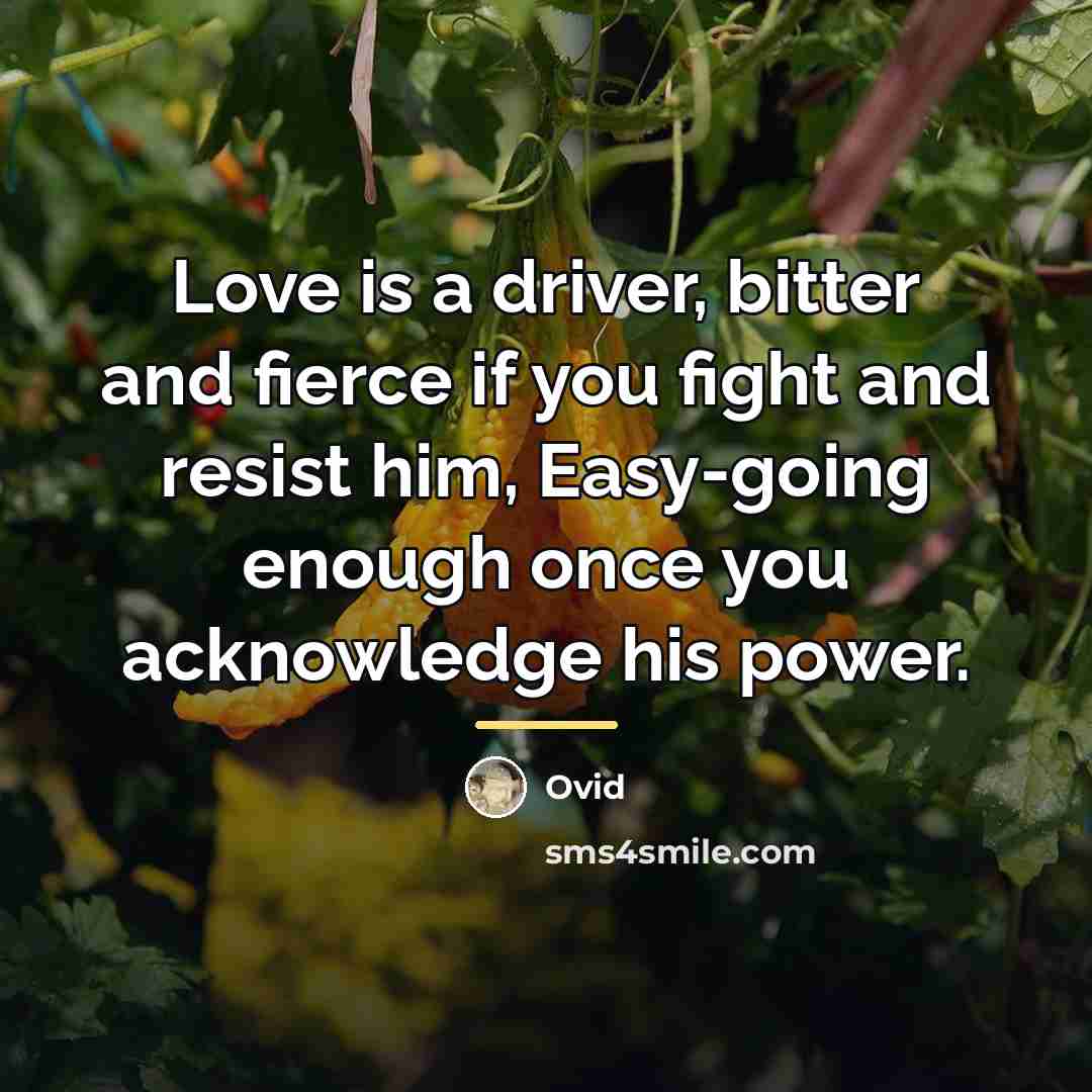 “Love is a driver, bitter and fierce if you fight…” quote by Ovid