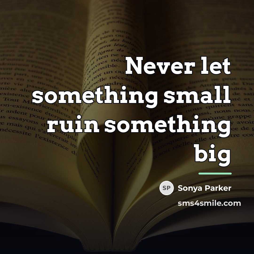 “Never let something small ruin something big…” quote by SONYA PARKER