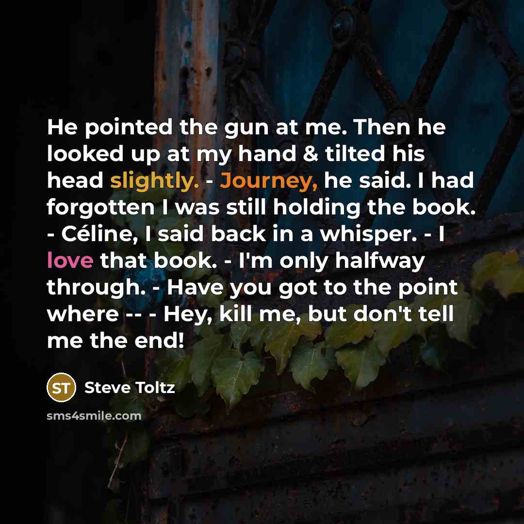 “He pointed the gun at me. Then he looked up…” quote by Steve Toltz