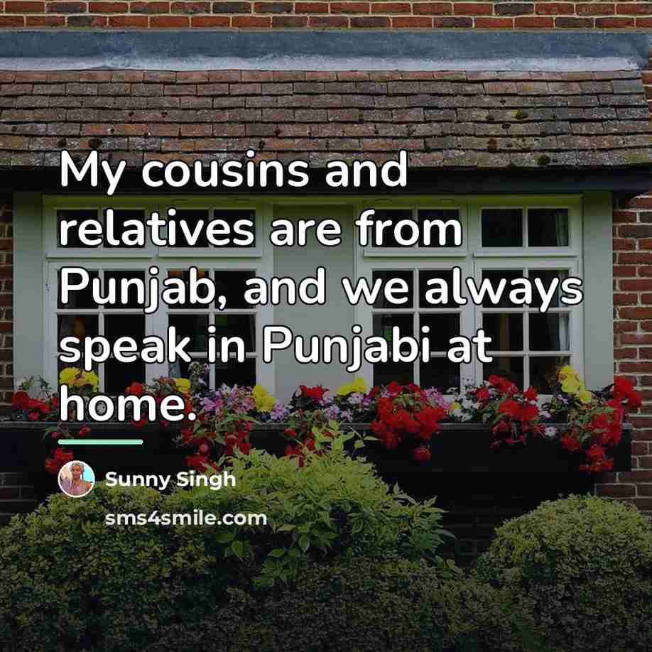 “My cousins and relatives are from Punjab, and we always…” quote by Sunny Singh