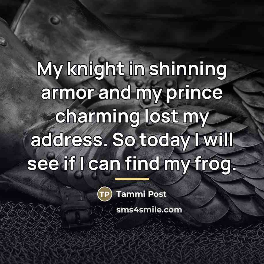“My knight in shinning armor and my prince charming lost…” quote by Tammi Post