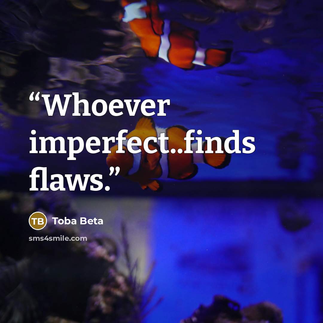 “Whoever imperfect..finds flaws.” quote by Toba Beta
