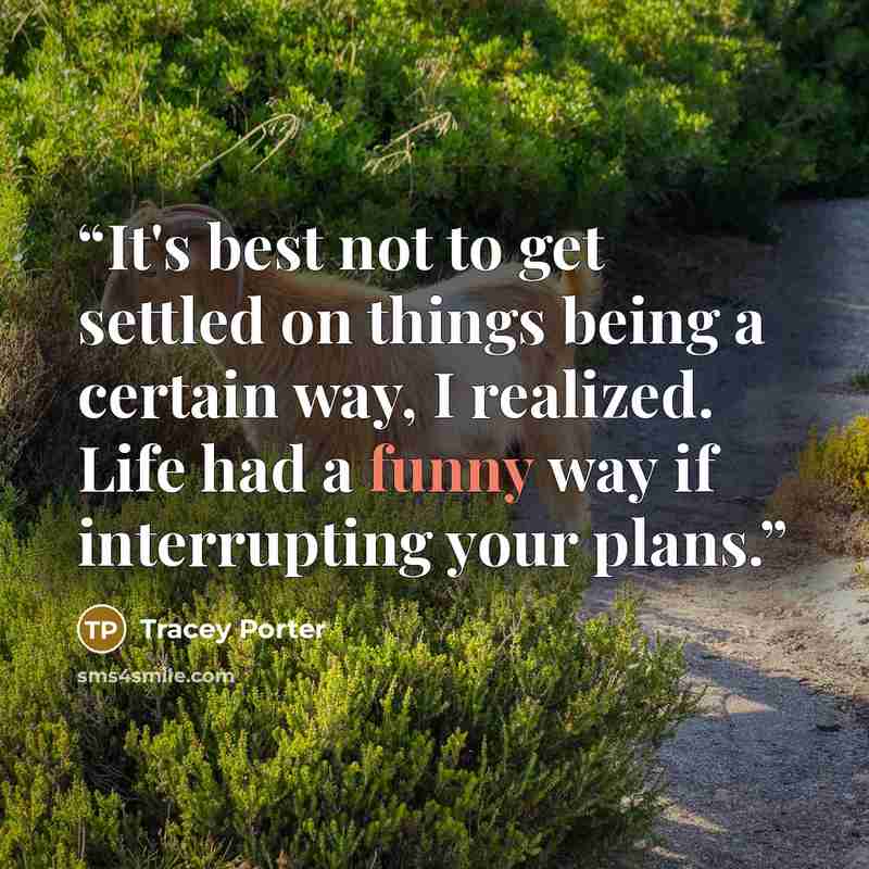 “It's best not to get settled on things being a certain way, I realized. Life had a funny way if interrupting your plans.” quote by Tracey Porter