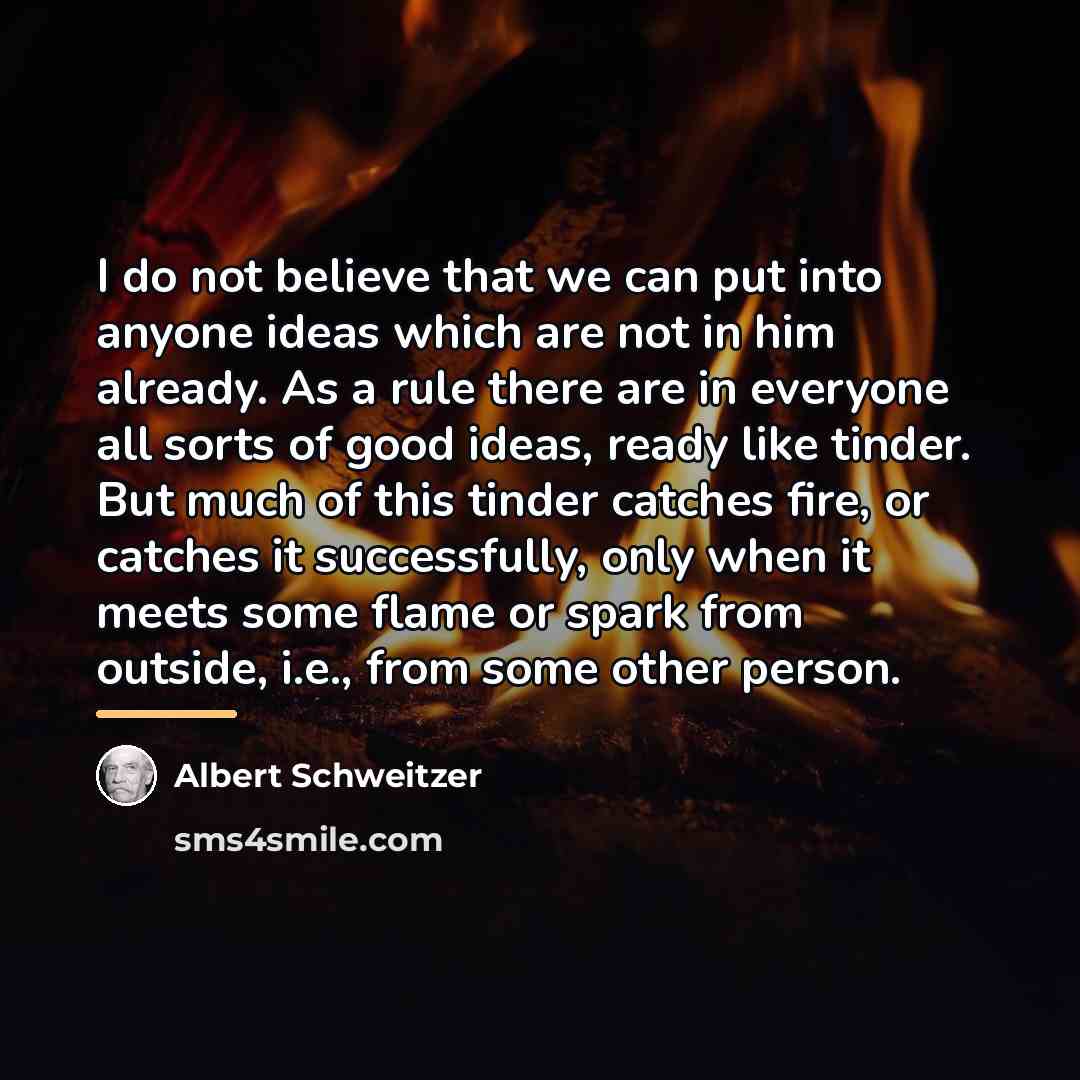 “I do not believe that we can put into anyone…” quote by Albert Schweitzer