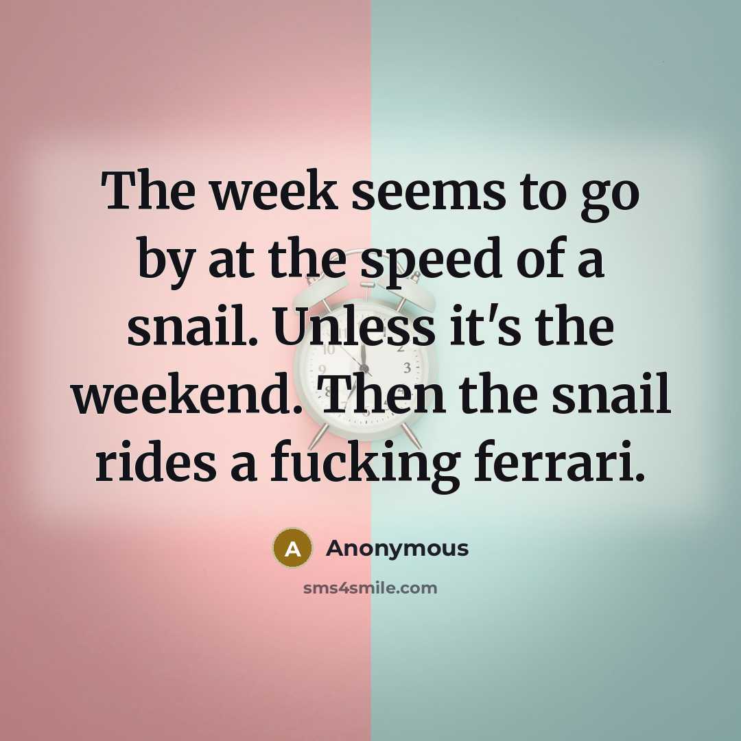 “The week seems to go by at the speed of…” quote by Anonymous