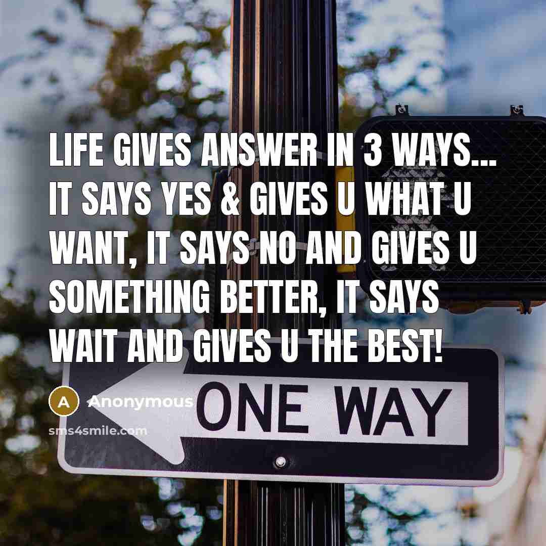 “Life gives answer in 3 ways... It says Yes &…” quote by Anonymous