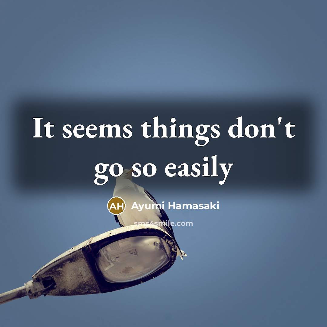 “It seems things don't go so easily…” quote by Ayumi Hamasaki