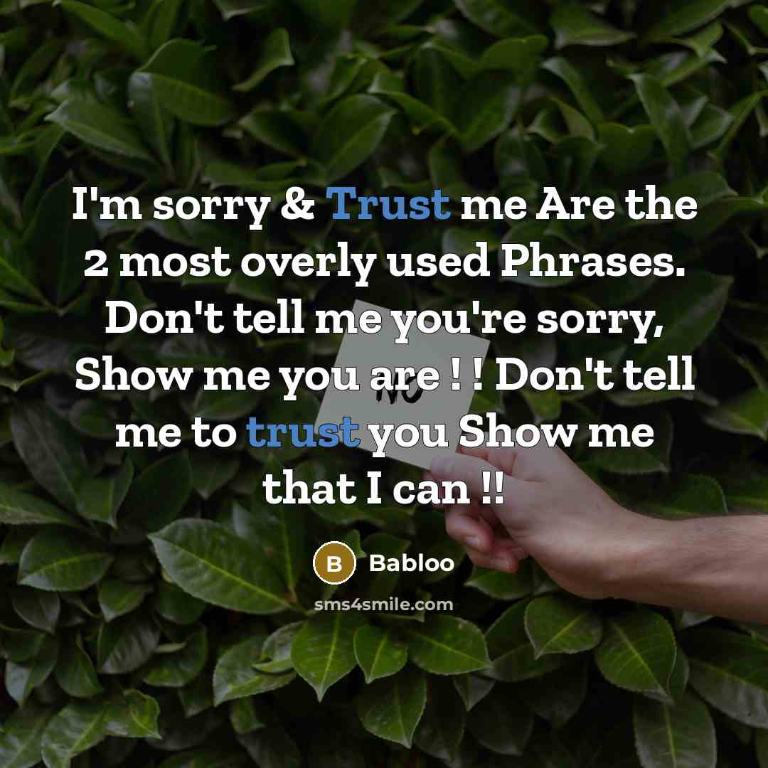 “I'm sorry & Trust me Are the 2 most overly used Phrases. Don't tell me you're sorry, Show me you are ! ! Don't tell me to trust you Show me that I can !!” quote by Babloo