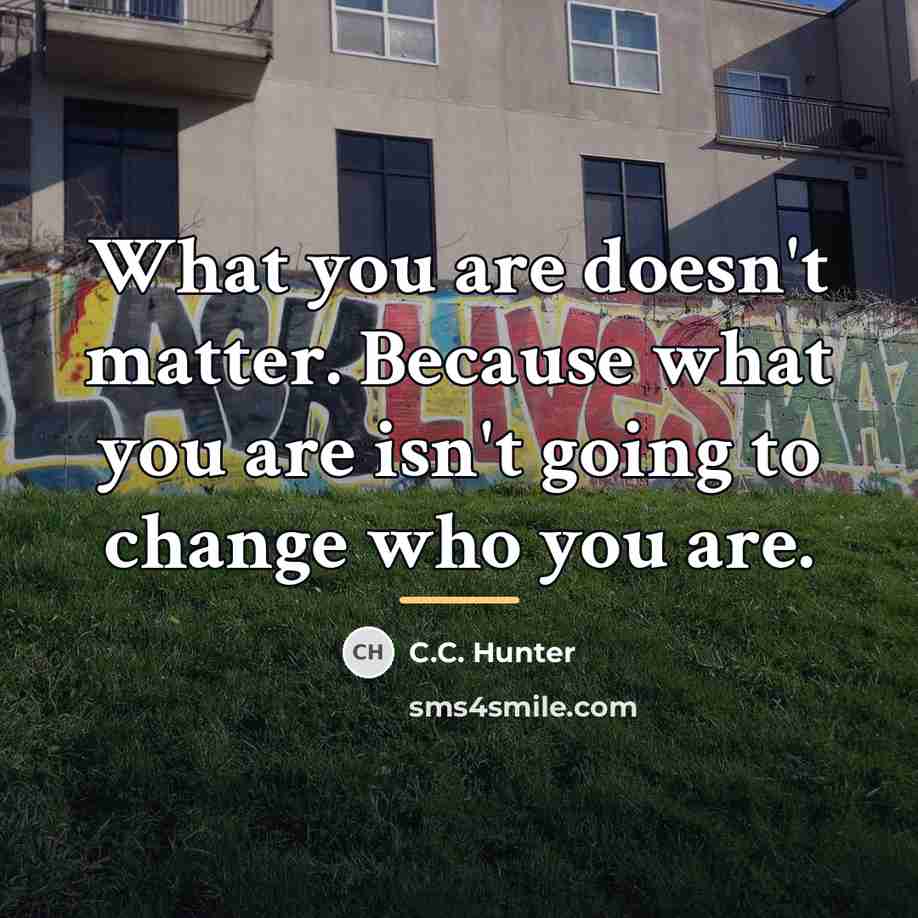 “What you are doesn't matter. Because what you are isn't…” quote by C.C. Hunter