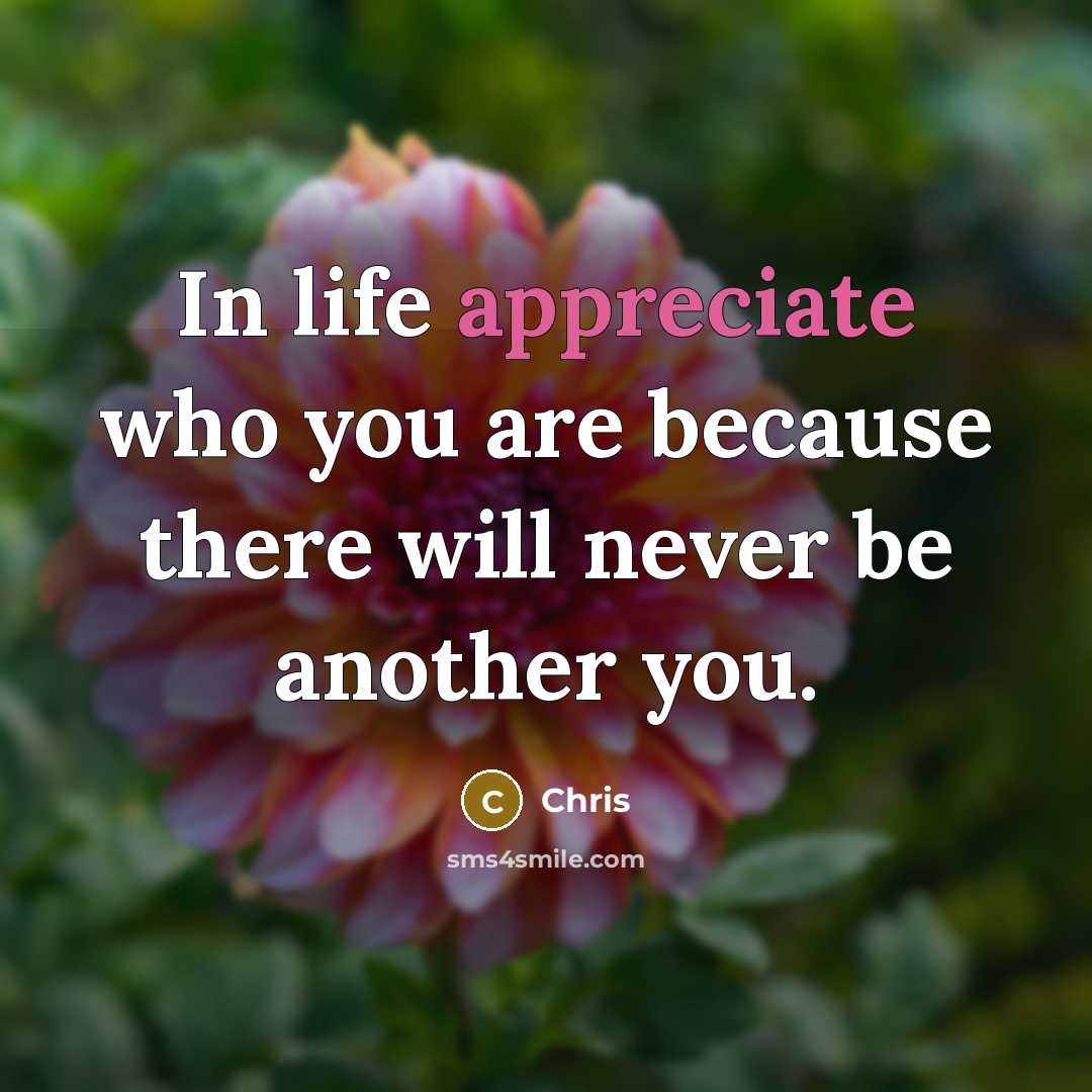 “In life appreciate who you are because there will never…” quote by Chris
