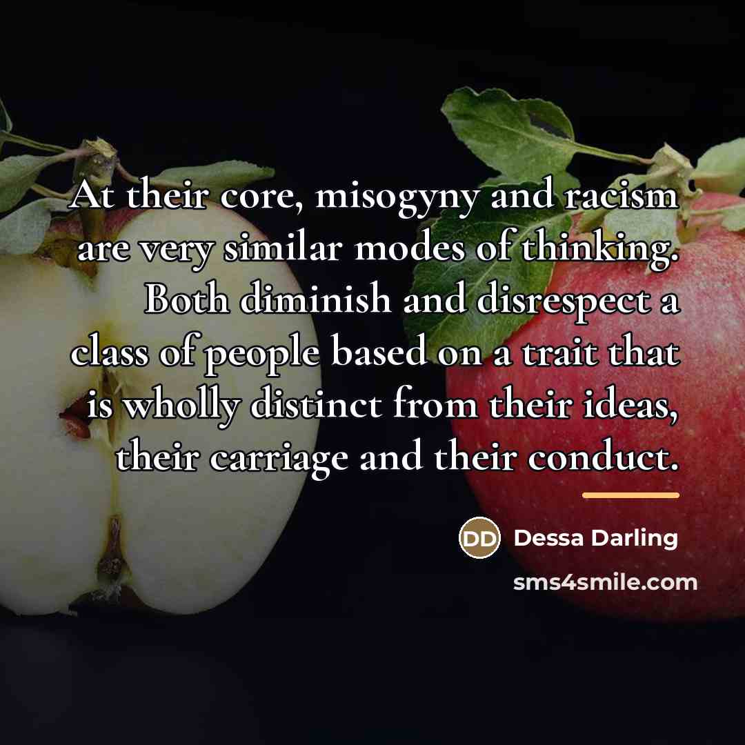 “At their core, misogyny and racism are very similar modes…” quote by Dessa Darling