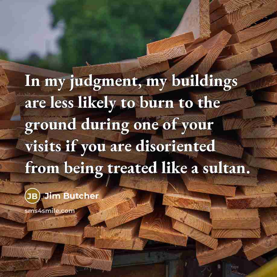 “In my judgment, my buildings are less likely to burn…” quote by Jim Butcher