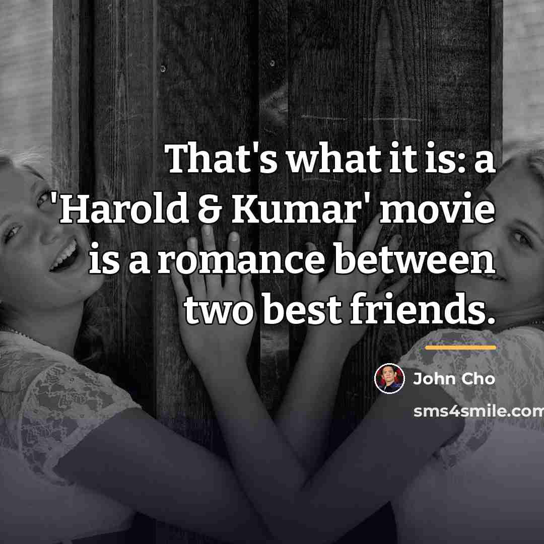 “That's what it is: a 'Harold & Kumar' movie is…” quote by John Cho