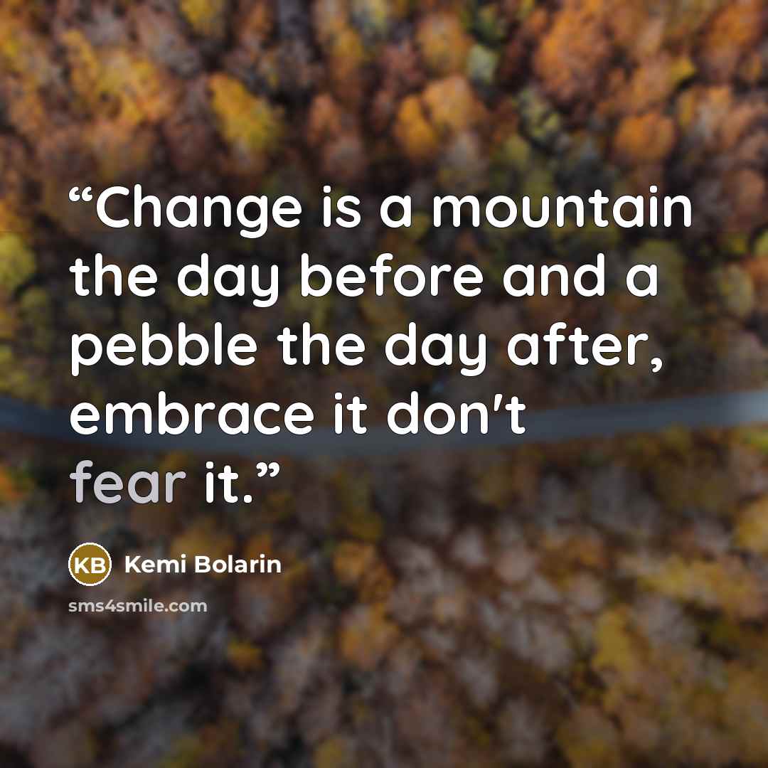 “Change is a mountain the day before and a pebble the day after, embrace it don't fear it.” quote by Kemi Bolarin