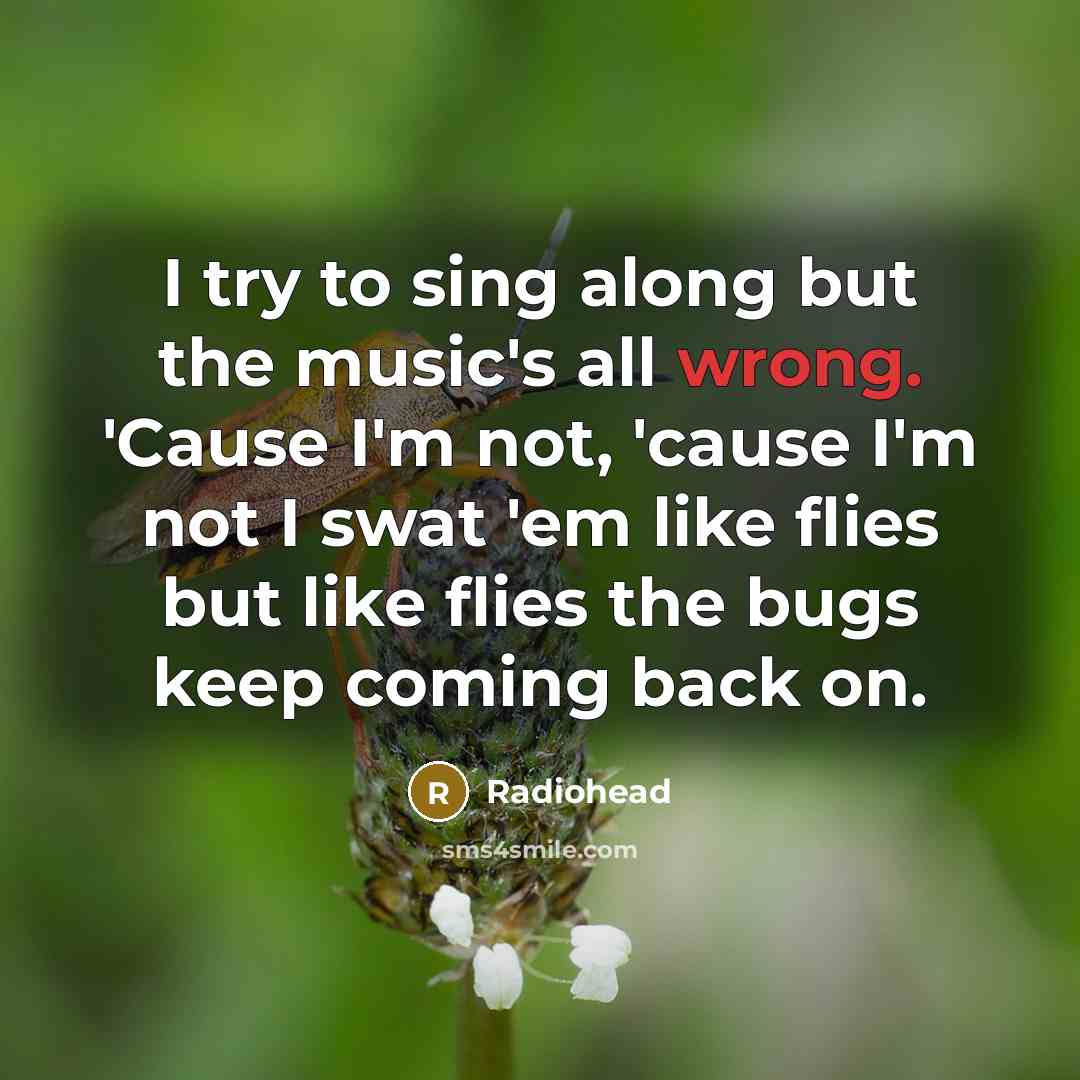 “I try to sing along but the music's all wrong. 'Cause I'm not, 'cause I'm not I swat 'em like flies but like flies the bugs keep coming back on.” quote by Radiohead