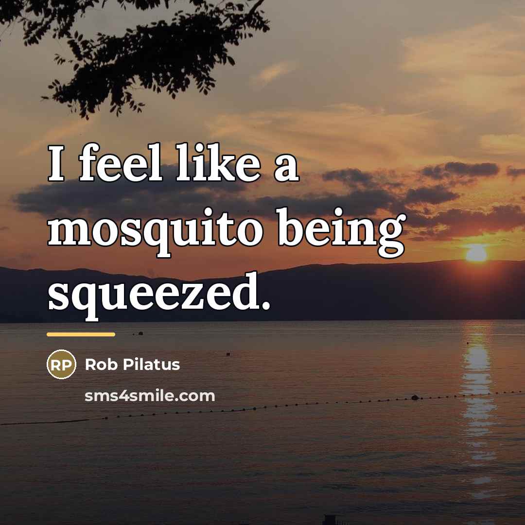 “I feel like a mosquito being squeezed.…” quote by Rob Pilatus