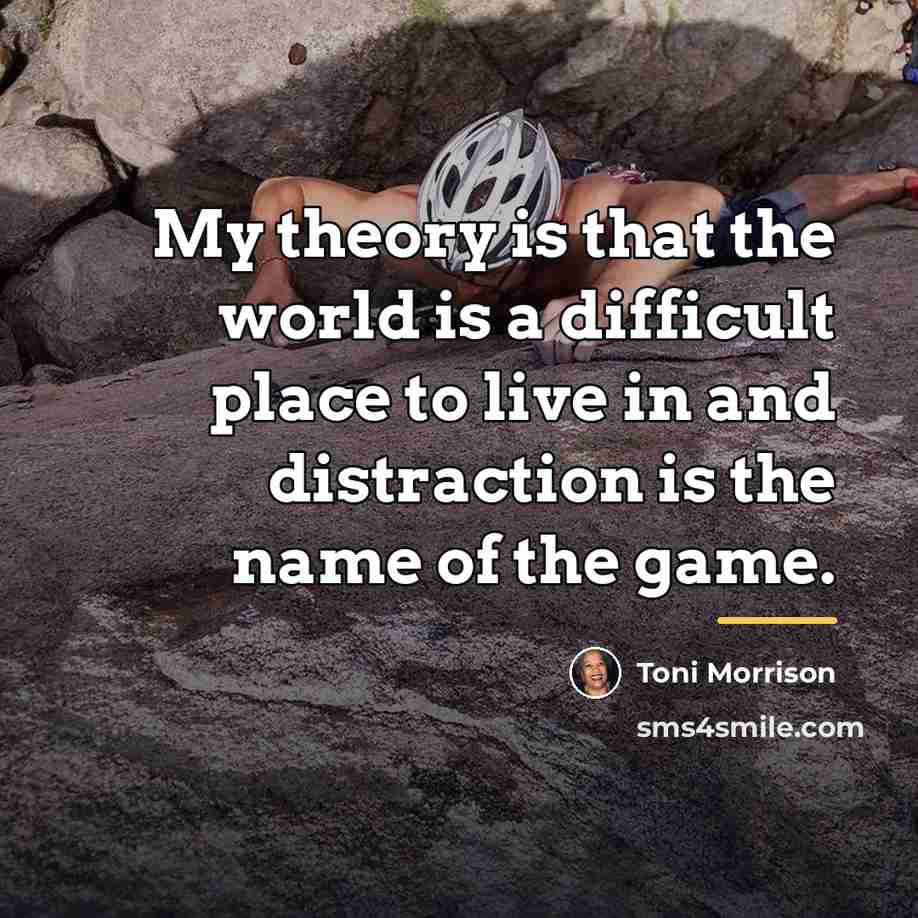 “My theory is that the world is a difficult place…” quote by Toni Morrison
