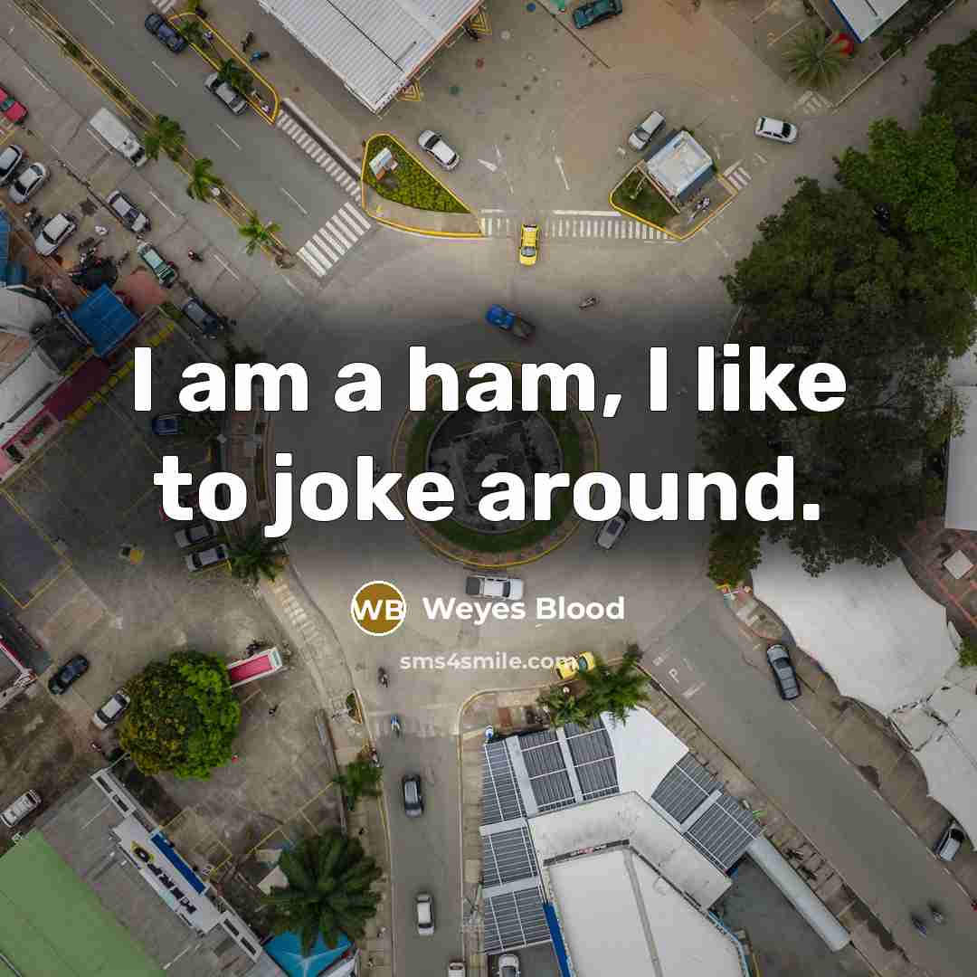 “I am a ham, I like to joke around.…” quote by Weyes Blood