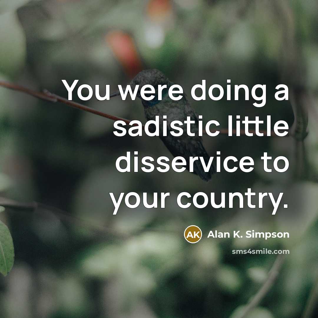 “You were doing a sadistic little disservice to your country.…” quote by Alan K. Simpson