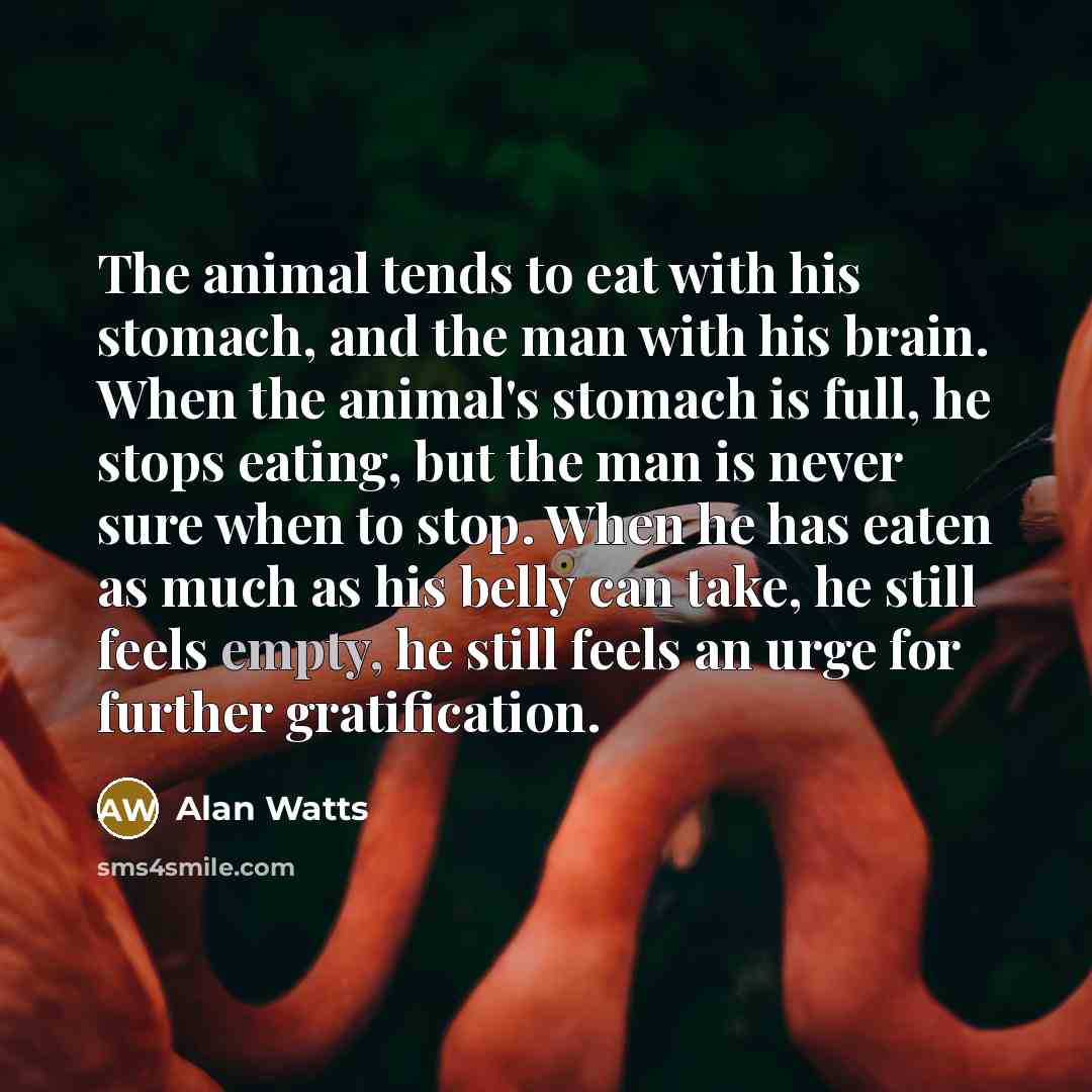 “The animal tends to eat with his stomach, and the…” quote by Alan Watts
