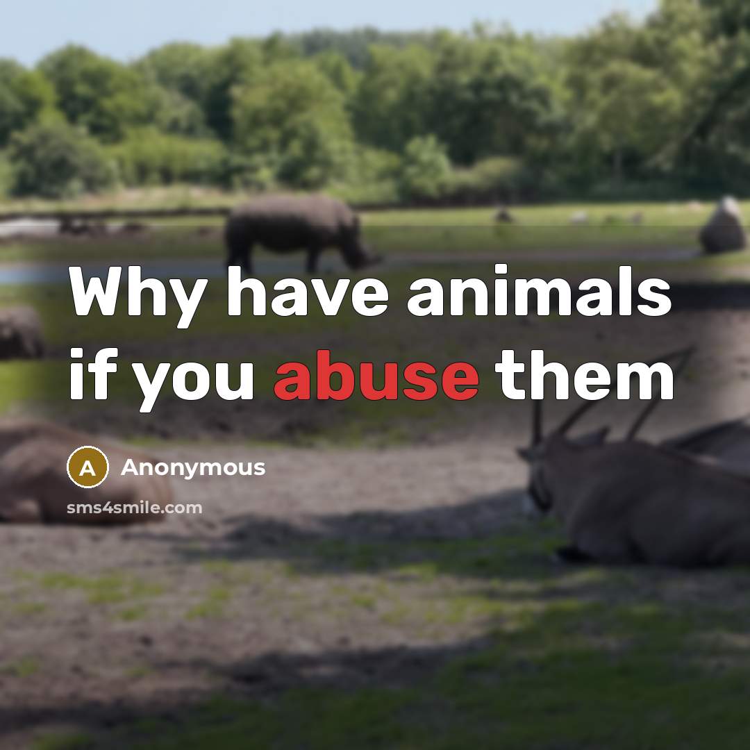“Why have animals if you abuse them” quote by Anonymous