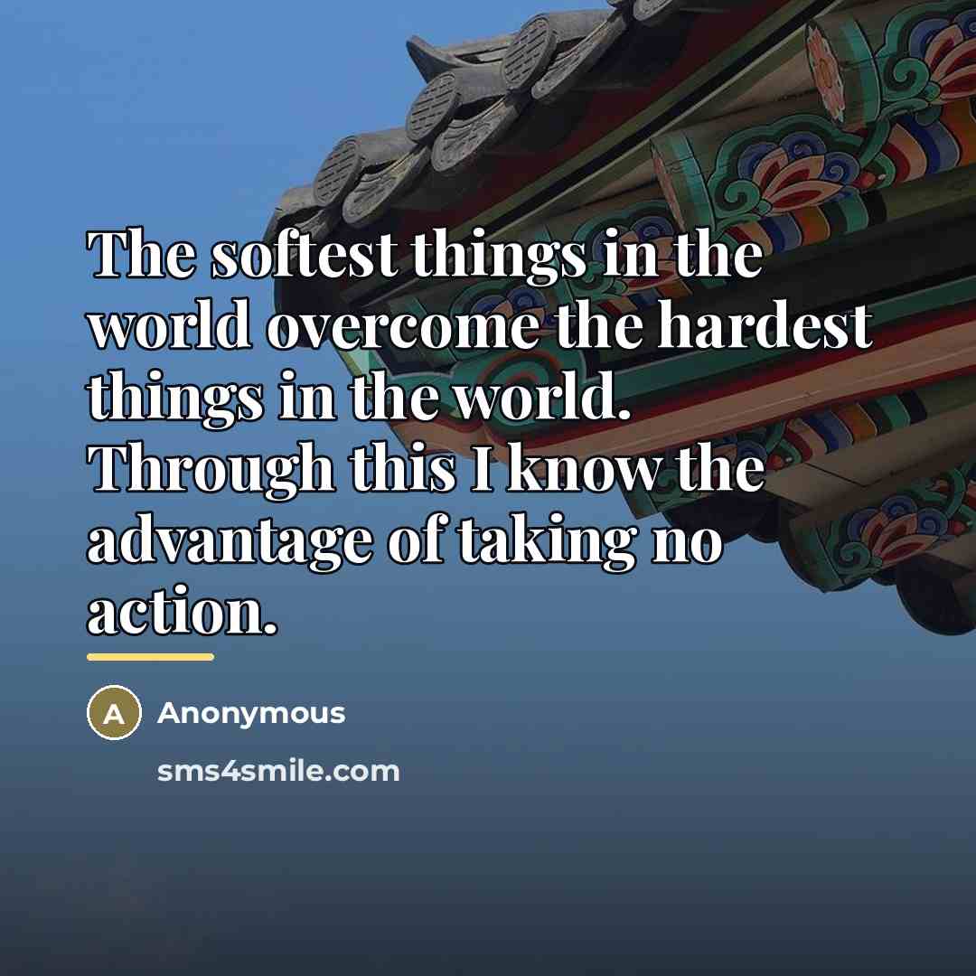 “The softest things in the world overcome the hardest things…” quote by Anonymous