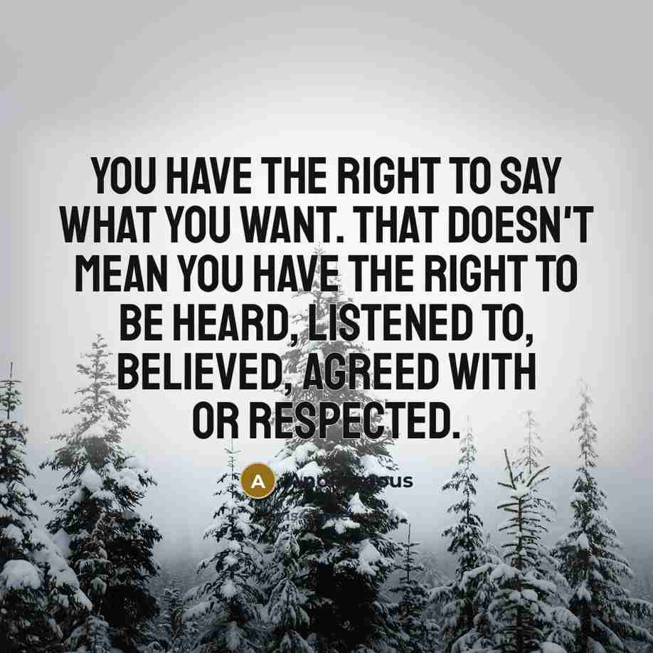 “You have the right to say what you want. That…” quote by Anonymous