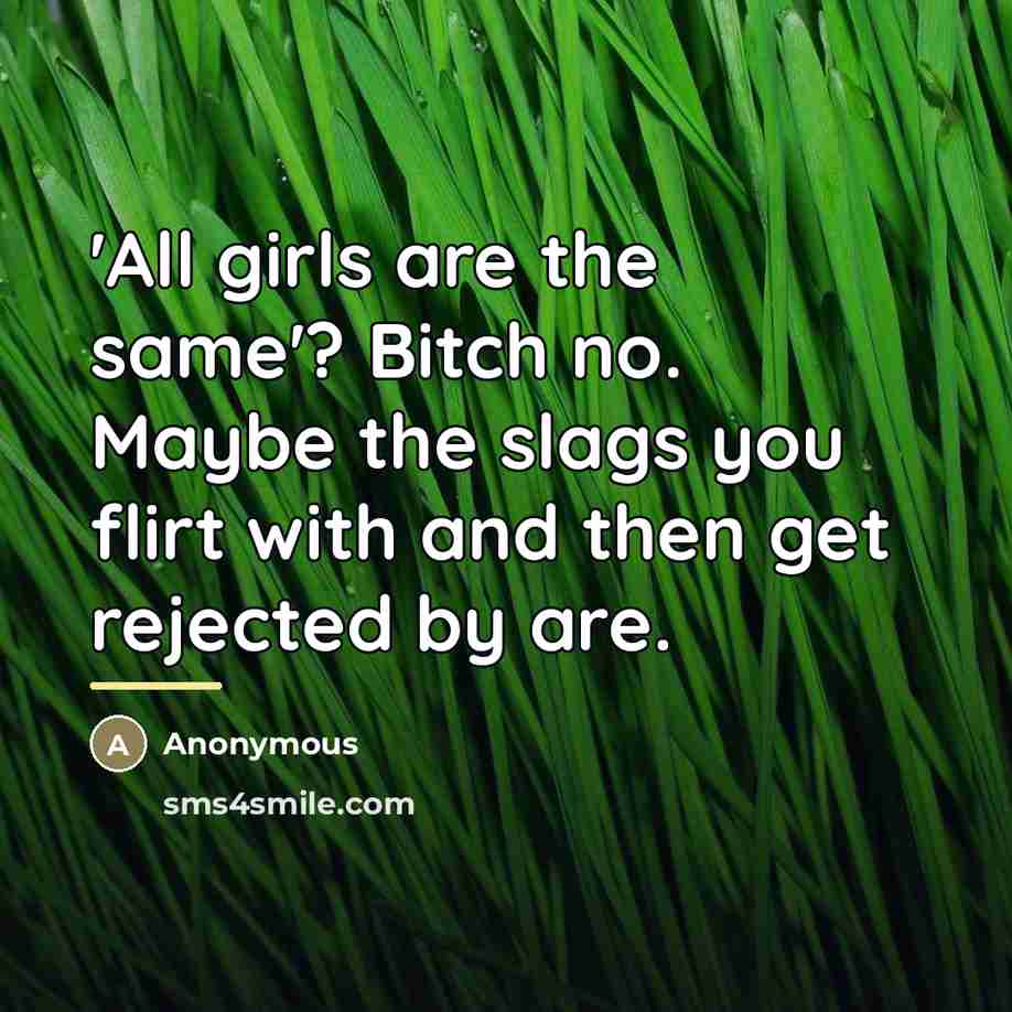 “'All girls are the same'? Bitch no. Maybe the slags you flirt with and then get rejected by are.” quote by Anonymous