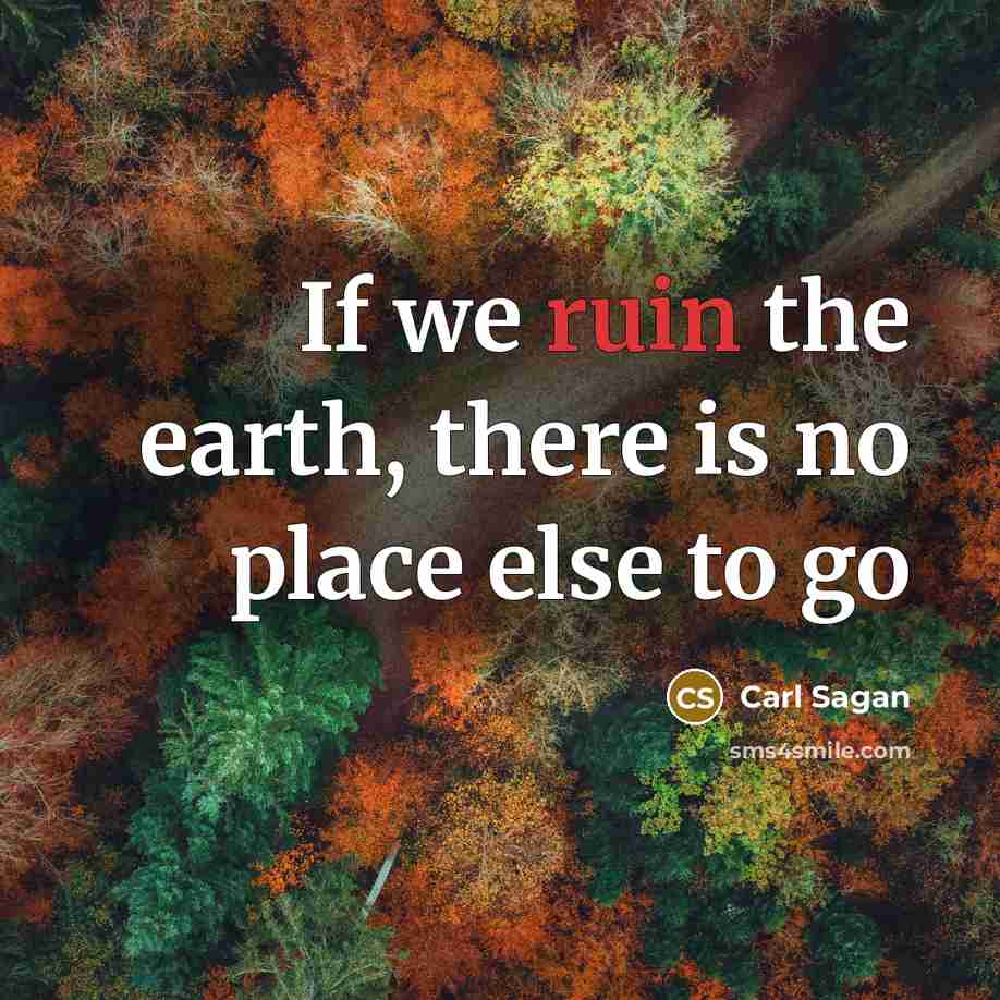 “If we ruin the earth, there is no place else…” quote by Carl Sagan