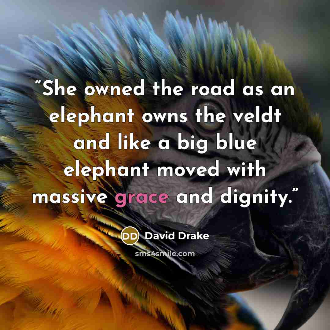 “She owned the road as an elephant owns the veldt and like a big blue elephant moved with massive grace and dignity.” quote by David Drake