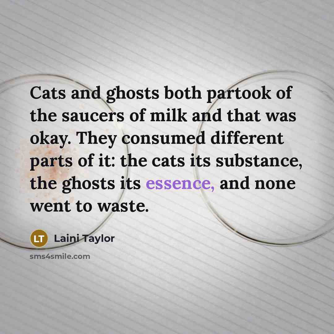 “Cats and ghosts both partook of the saucers of milk…” quote by Laini Taylor