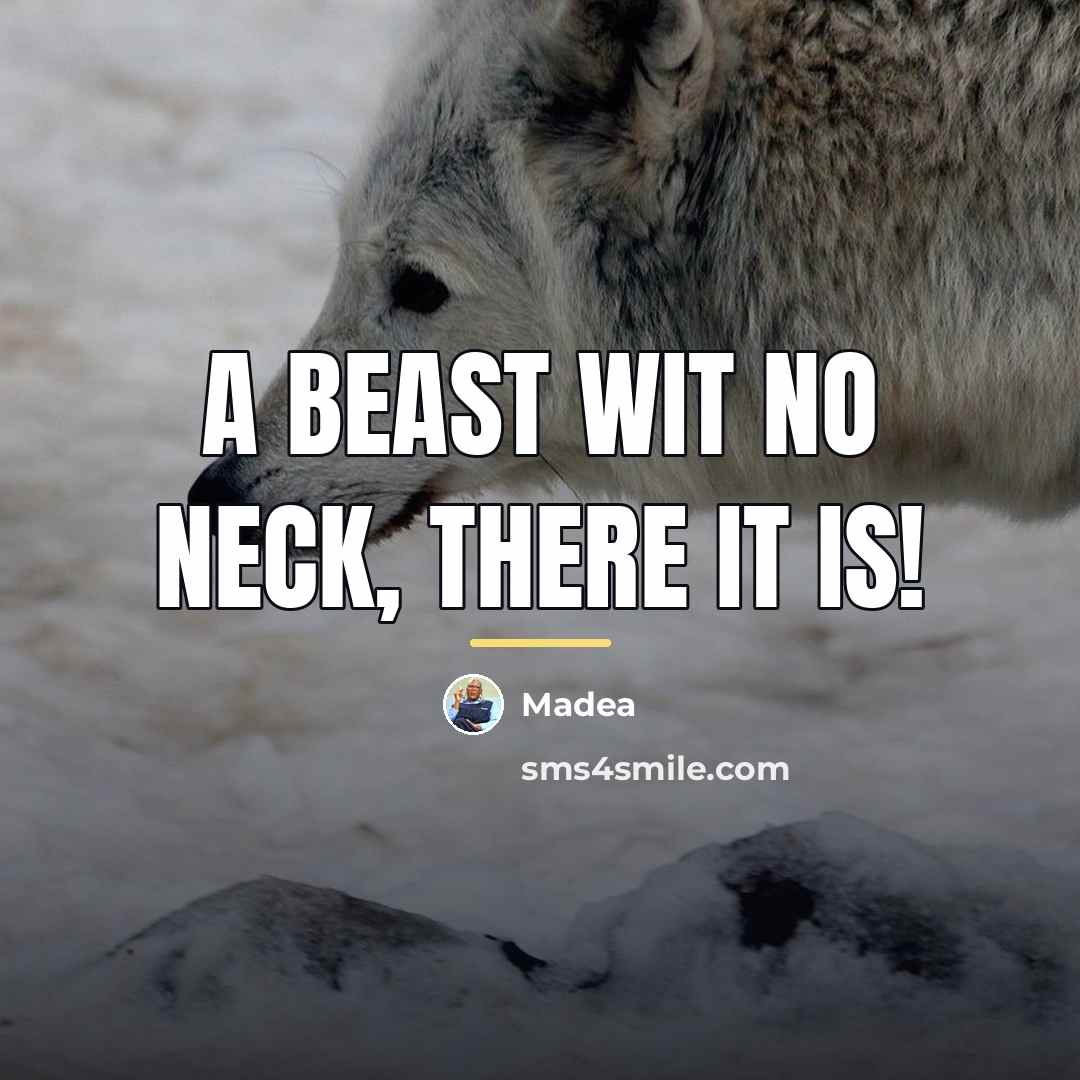 “A beast wit no neck, there it is!…” quote by Madea