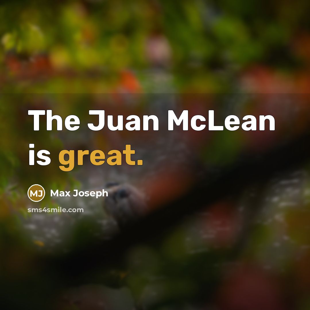 “The Juan McLean is great.…” quote by Max Joseph
