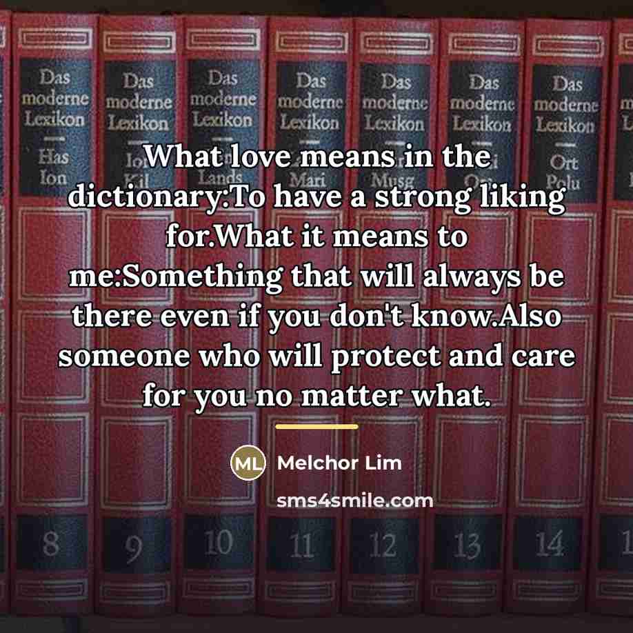 “What love means in the dictionary:To have a strong liking…” quote by Melchor Lim